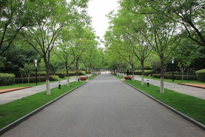 皇冠现金官网(中国)手机版APP正网