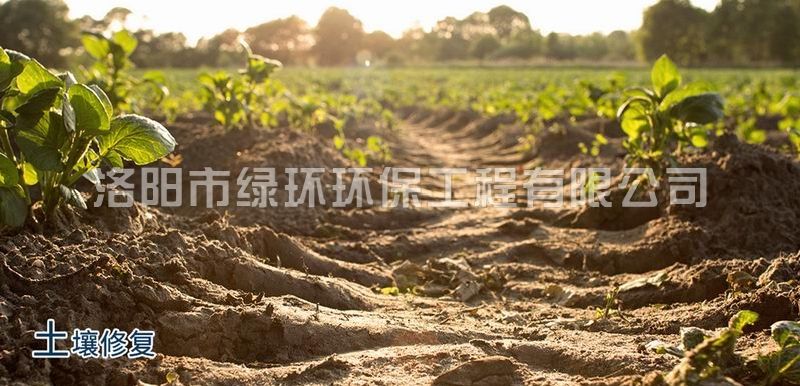 皇冠现金官网(中国)手机版APP正网