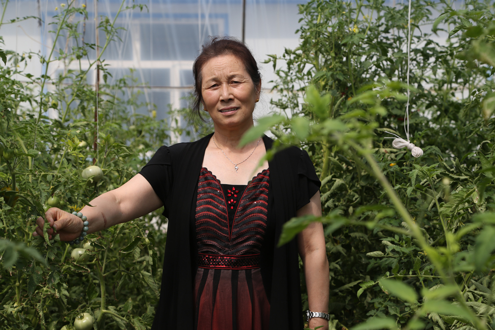 九州酷游(酷游·ku游)官方网站